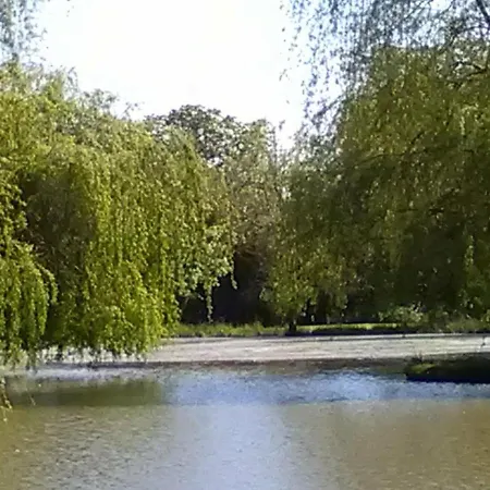 Gasthuis La Lune Joue-en-Charnie
