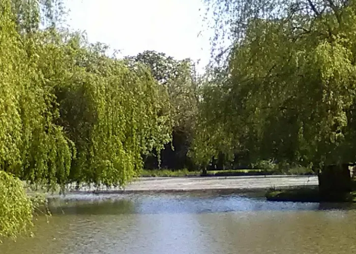 招待所 La Lune Joue-en-Charnie