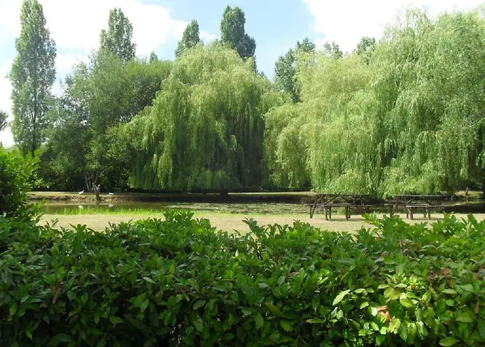 招待所 La Lune Joue-en-Charnie